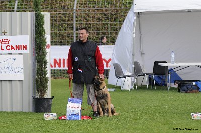 Remise des Prix 037.JPG - CHIENPLUS.COM